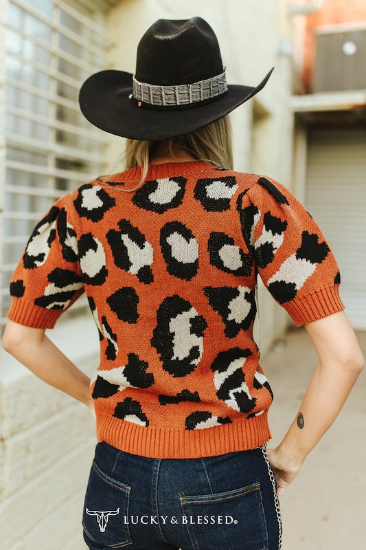 Brown Leopard Knit Puff Sleeve Sweater Top