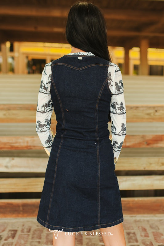 Rinse Wash Stretch Denim Button Down Dress